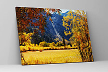 Obraz Babie leto zs1157